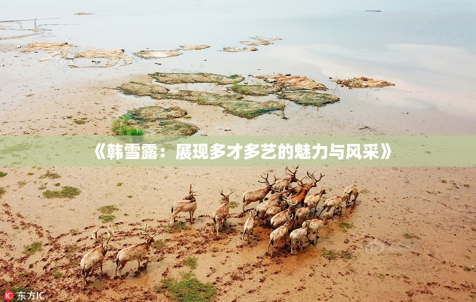 《韩雪露：展现多才多艺的魅力与风采》