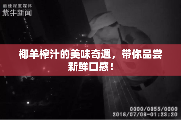 椰羊榨汁的美味奇遇，带你品尝新鲜口感！