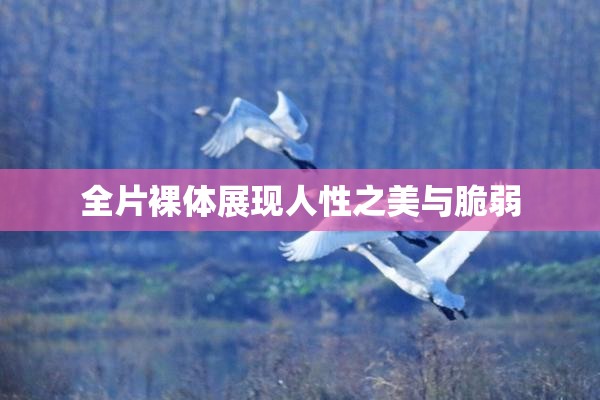 全片裸体展现人性之美与脆弱
