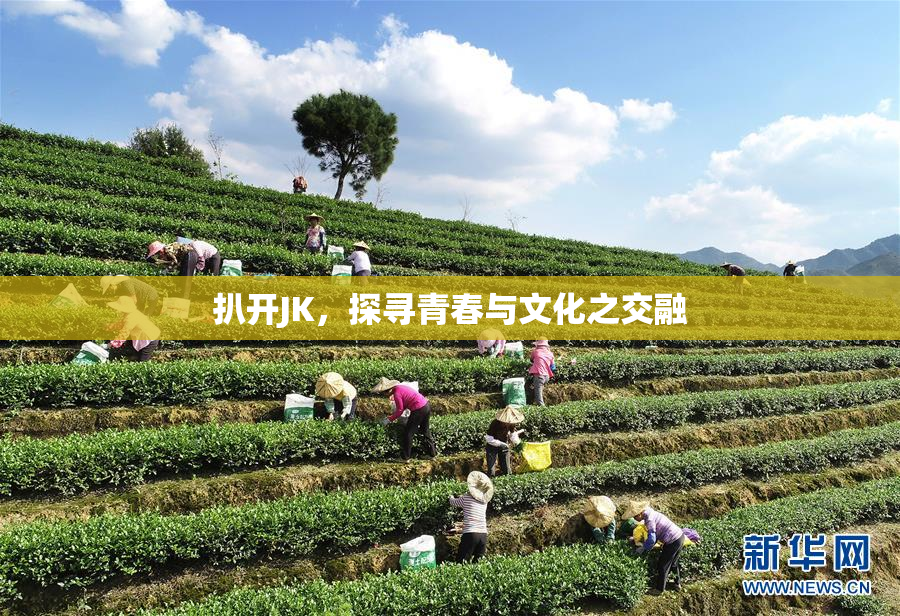 扒开JK，探寻青春与文化之交融