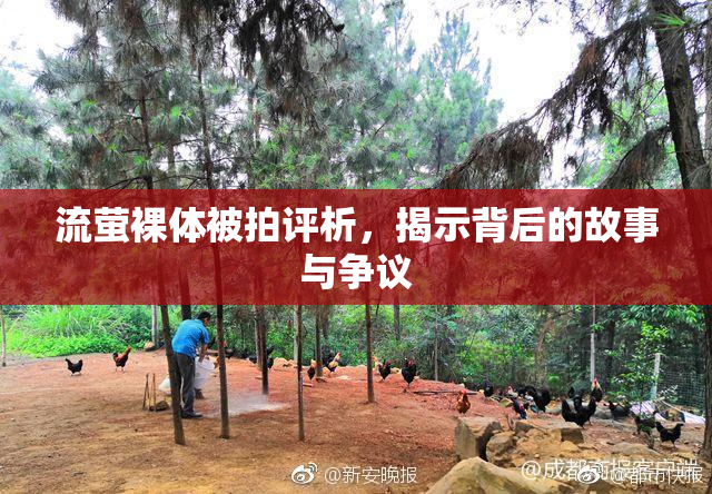 流萤裸体被拍评析，揭示背后的故事与争议