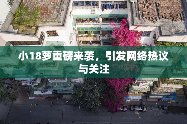 小18萝重磅来袭，引发网络热议与关注