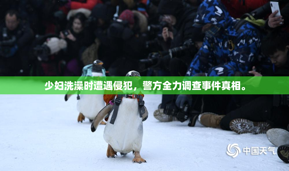 少妇洗澡时遭遇侵犯，警方全力调查事件真相。