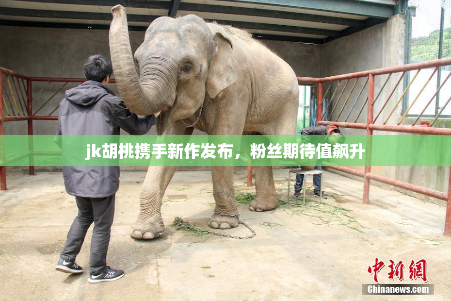 jk胡桃携手新作发布，粉丝期待值飙升