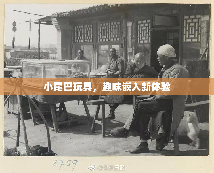 小尾巴玩具，趣味嵌入新体验