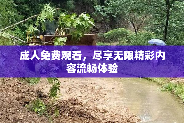 成人免费观看，尽享无限精彩内容流畅体验