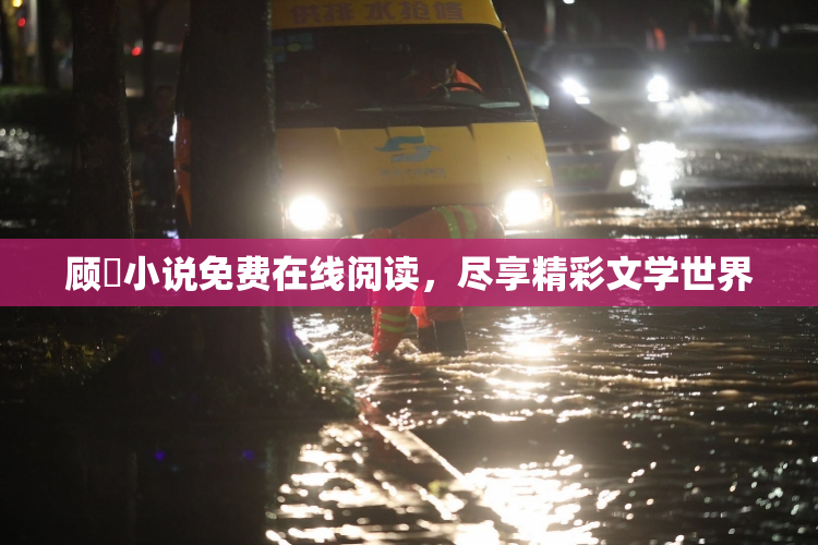 顾嫚小说免费在线阅读，尽享精彩文学世界