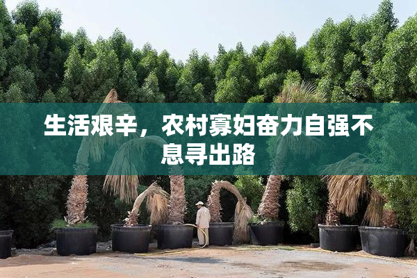 生活艰辛，农村寡妇奋力自强不息寻出路