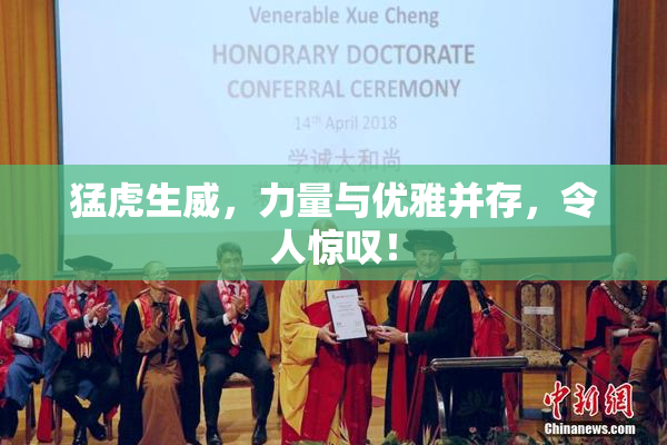 猛虎生威，力量与优雅并存，令人惊叹！
