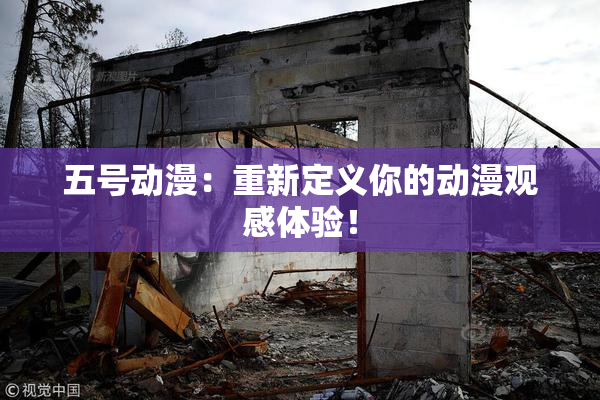 五号动漫：重新定义你的动漫观感体验！