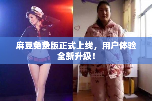麻豆免费版正式上线，用户体验全新升级！