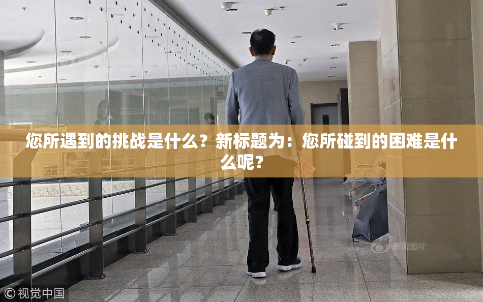 您所遇到的挑战是什么？新标题为：您所碰到的困难是什么呢？