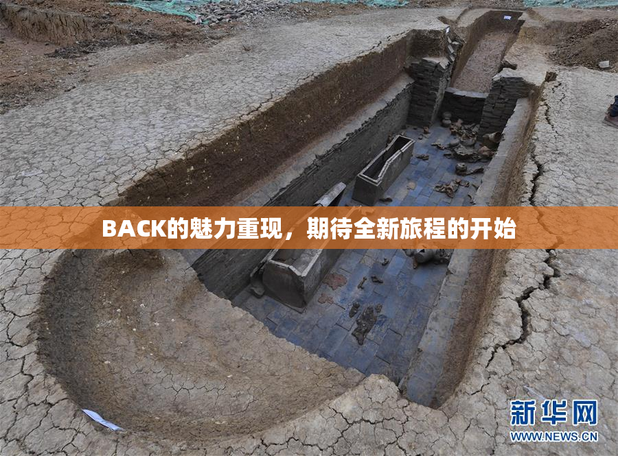 BACK的魅力重现，期待全新旅程的开始