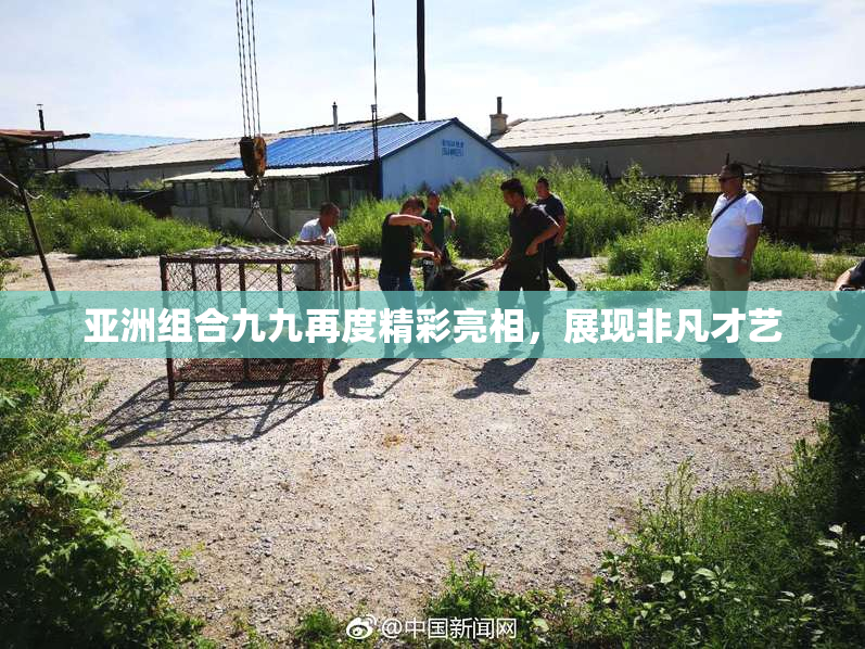亚洲组合九九再度精彩亮相，展现非凡才艺