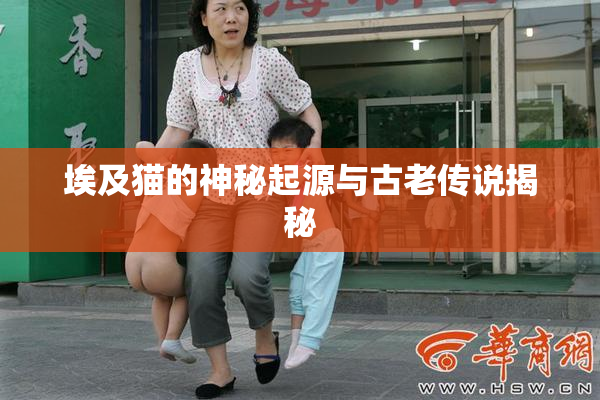 埃及猫的神秘起源与古老传说揭秘