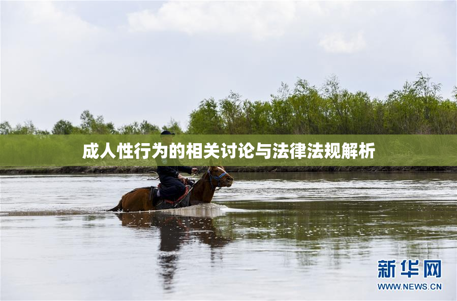 成人性行为的相关讨论与法律法规解析