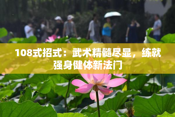 108式招式：武术精髓尽显，练就强身健体新法门