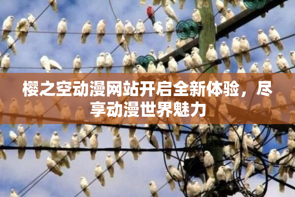 樱之空动漫网站开启全新体验，尽享动漫世界魅力
