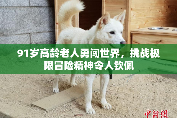91岁高龄老人勇闯世界，挑战极限冒险精神令人钦佩