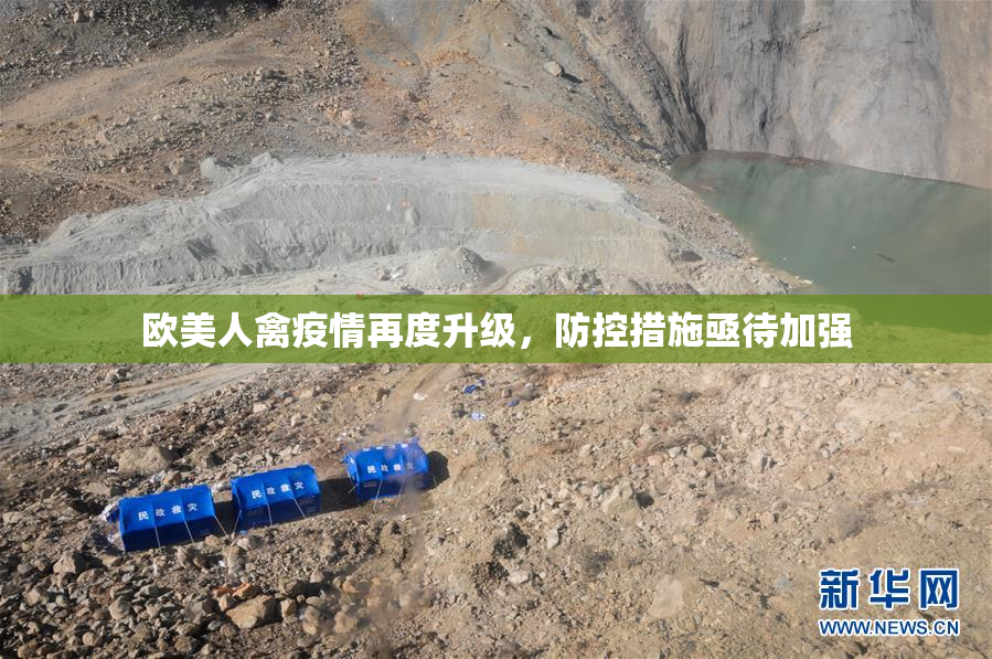 欧美人禽疫情再度升级，防控措施亟待加强