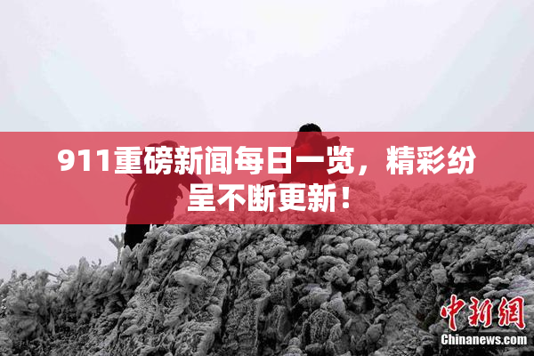 911重磅新闻每日一览，精彩纷呈不断更新！