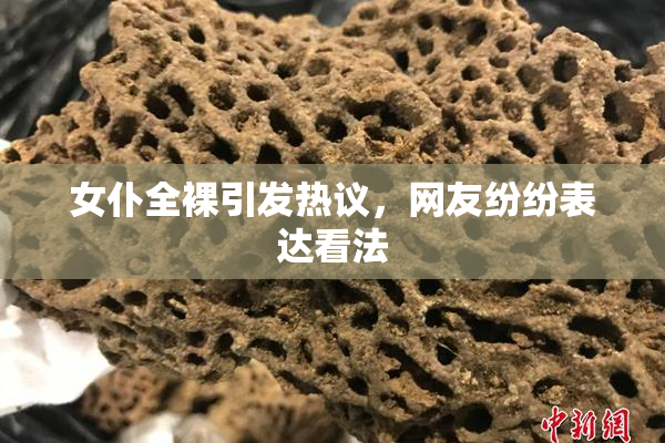 女仆全裸引发热议，网友纷纷表达看法