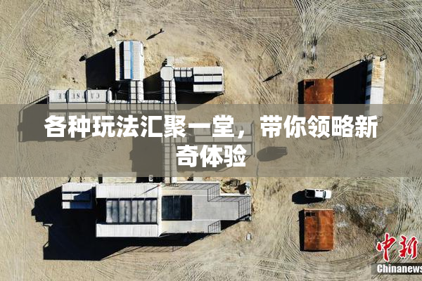 各种玩法汇聚一堂，带你领略新奇体验