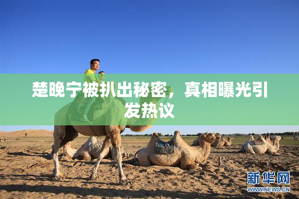 楚晚宁被扒出秘密，真相曝光引发热议