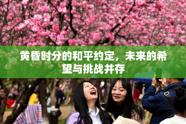 黄昏时分的和平约定，未来的希望与挑战并存