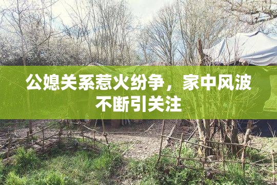 公媳关系惹火纷争，家中风波不断引关注