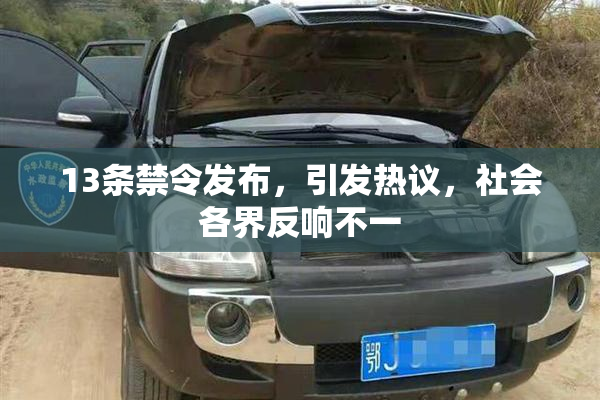 13条禁令发布，引发热议，社会各界反响不一