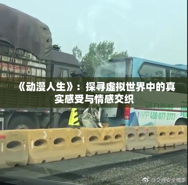 《动漫人生》：探寻虚拟世界中的真实感受与情感交织