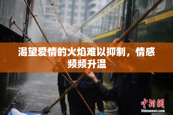 渴望爱情的火焰难以抑制，情感频频升温