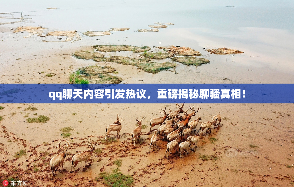 qq聊天内容引发热议，重磅揭秘聊骚真相！