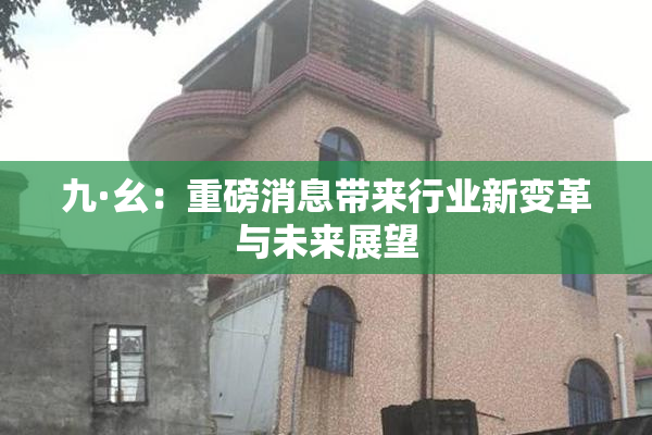 九·幺：重磅消息带来行业新变革与未来展望