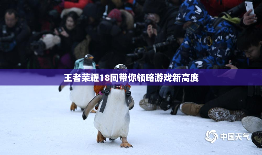 王者荣耀18同带你领略游戏新高度