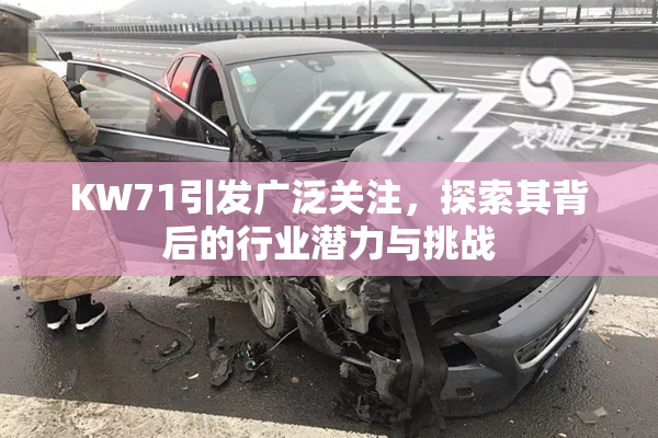 KW71引发广泛关注，探索其背后的行业潜力与挑战