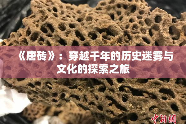 《唐砖》：穿越千年的历史迷雾与文化的探索之旅