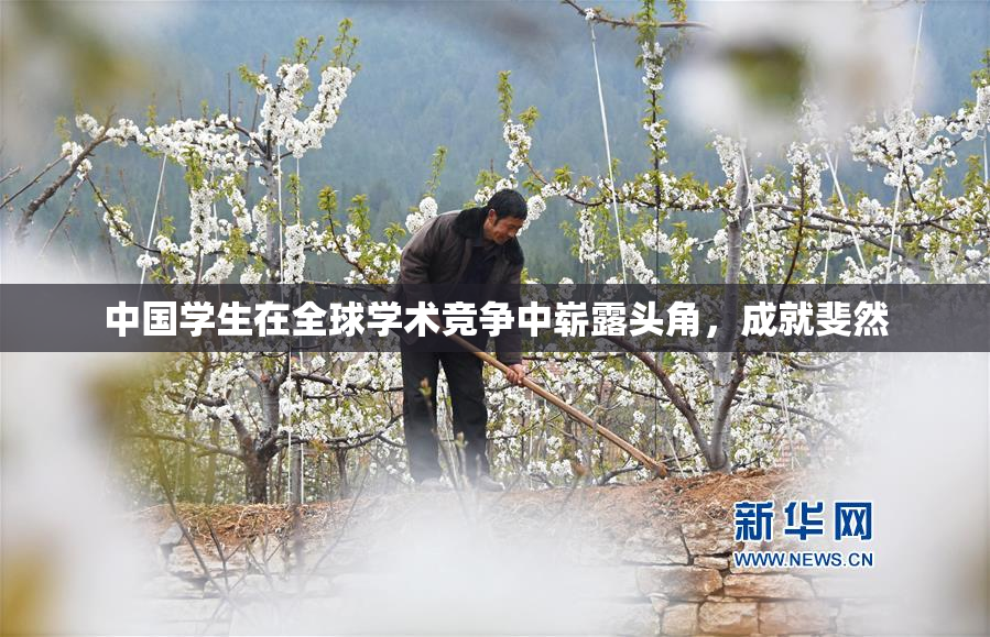 中国学生在全球学术竞争中崭露头角，成就斐然