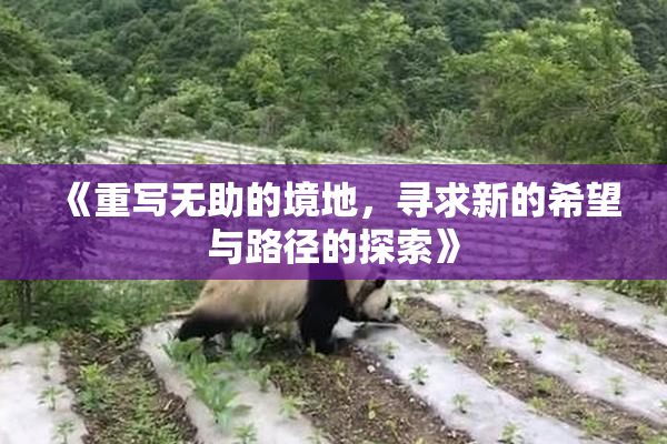 《重写无助的境地，寻求新的希望与路径的探索》