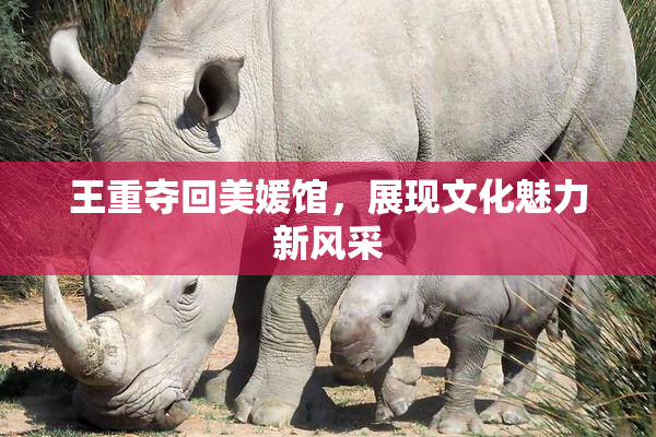 王重夺回美媛馆，展现文化魅力新风采