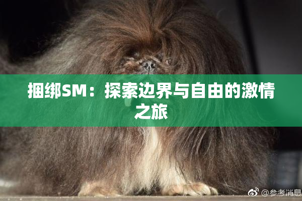 捆绑SM：探索边界与自由的激情之旅