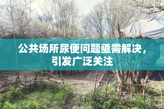 公共场所尿便问题亟需解决，引发广泛关注