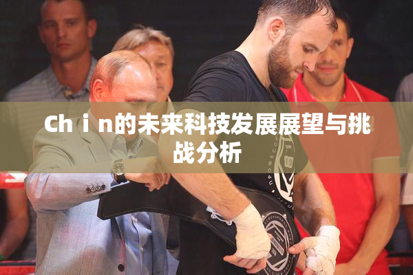 Chⅰn的未来科技发展展望与挑战分析