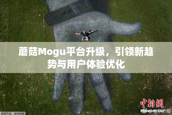 蘑菇Mogu平台升级，引领新趋势与用户体验优化