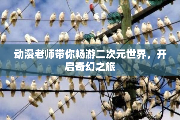 动漫老师带你畅游二次元世界，开启奇幻之旅