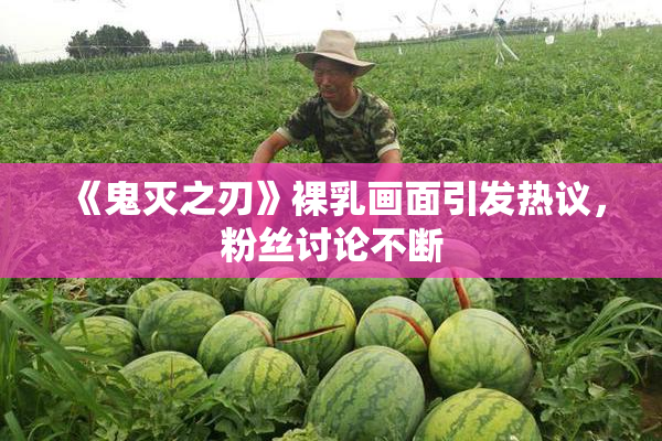《鬼灭之刃》裸乳画面引发热议，粉丝讨论不断