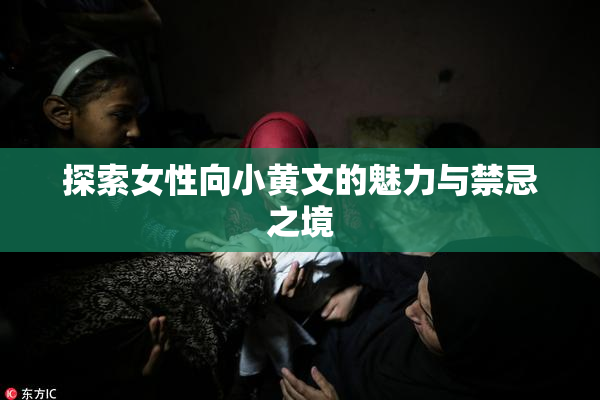 探索女性向小黄文的魅力与禁忌之境