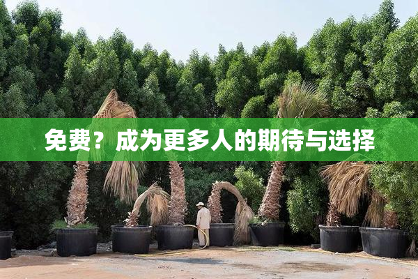 免费？成为更多人的期待与选择