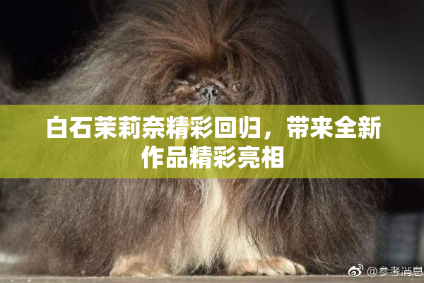 白石茉莉奈精彩回归，带来全新作品精彩亮相